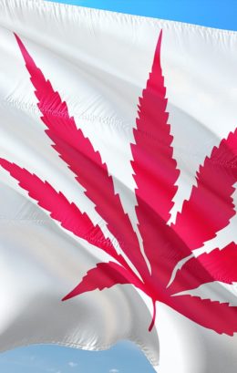 a weed canadian flag