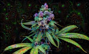 a trippy picture of a cannabis flower