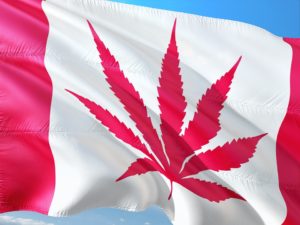 Canadian flag with a cannabis leaf on it